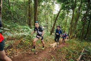 BIB: 
                            <button type="button" onclick="openModal(22467322)" class="btn btn-primary btn-sm float-right btn-popup" data-toggle="modal" data-target=".modal-high-quality">
                        <i class="fas fa-shopping-cart"></i> Add to Cart
                    </button>
                                            <button type="button" onclick="isThisMe(22467322, true)" class="btn btn-success btn-sm float-right btn-popup btn-isme hidden" data-toggle="tooltip" data-placement="bottom" title="นี่คือรูปของคุณใช่ไหม คลิกที่นี่เพื่อเอาเข้าอัลบั้ม">
                        <i class="fas fa-plus"></i> Add to album
                    </button>
                    <button type="button" onclick="isThisMe(22467322, false)" class="btn btn-warning btn-sm float-right btn-popup btn-isnotme hidden">
                        <i class="fas fa-ban"></i> Remove from album
                    </button>